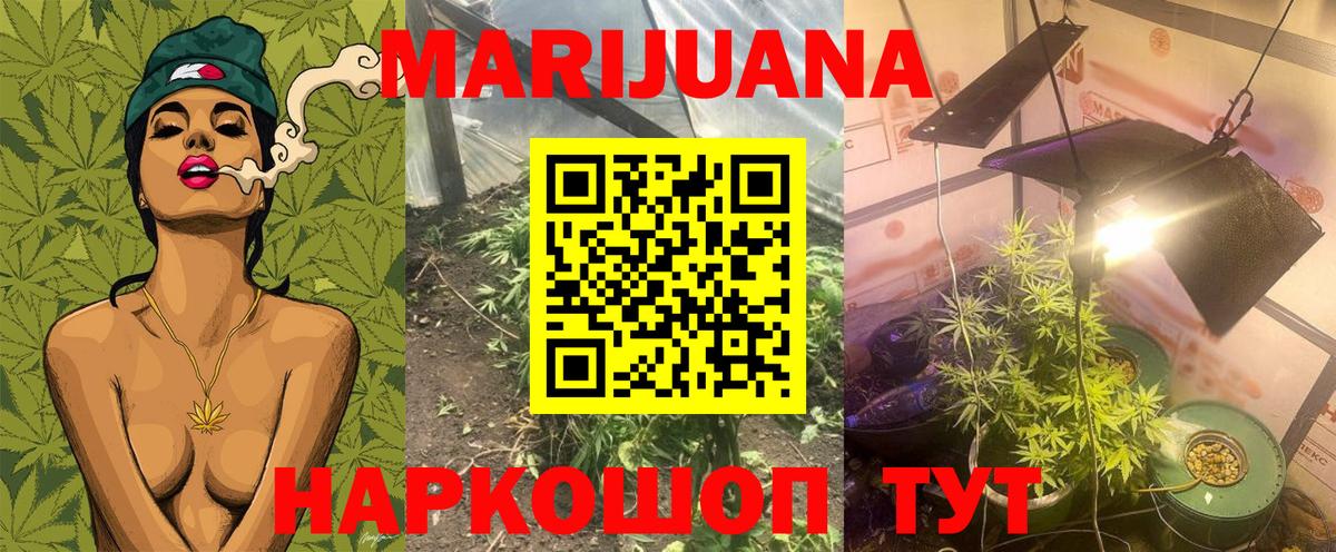 Каннабис ГИДРОПОН  Вход с VPN  Красный Сулин  Каннабис семена 